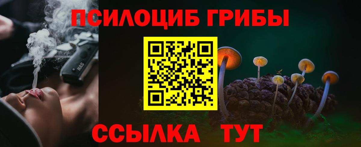 Галлюциногенные грибы Cubensis Кирово-Чепецк
